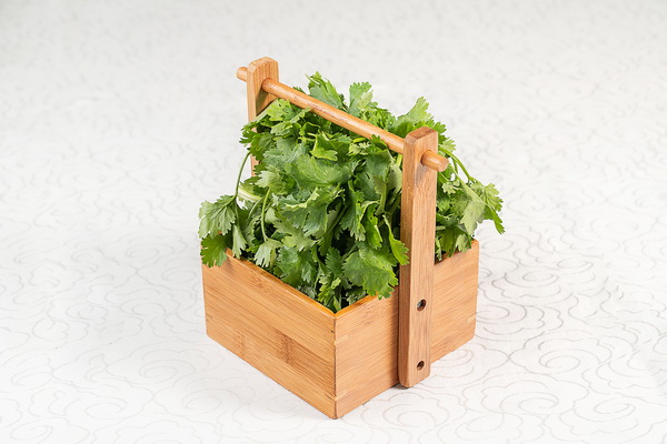 香菜 香菜