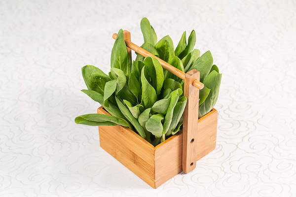 小青菜 小青菜